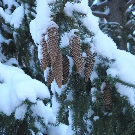 Hostel Les Terres Blanches De Méolans
