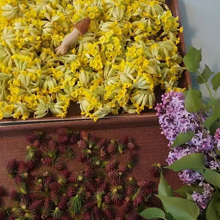 ホステル Les Terres Blanches De Méolans