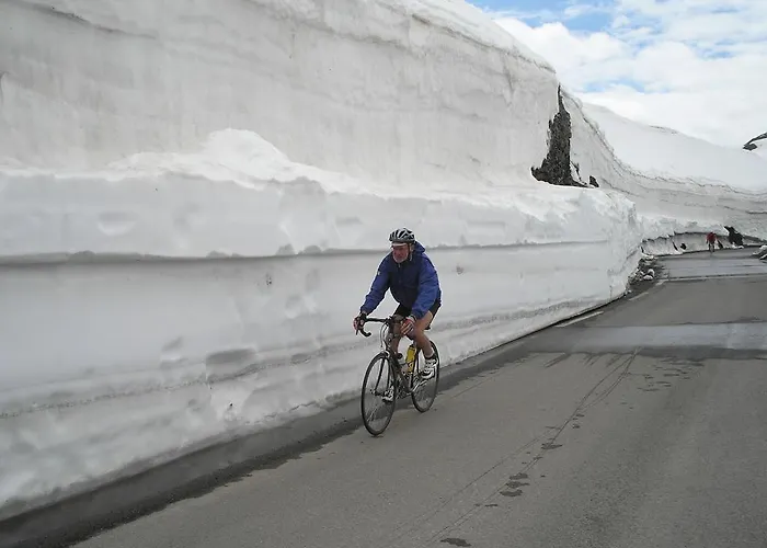 Les Terres Blanches De *