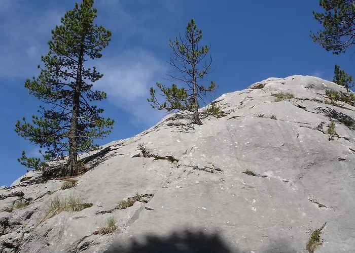 Les Terres Blanches De אכסניה Méolans