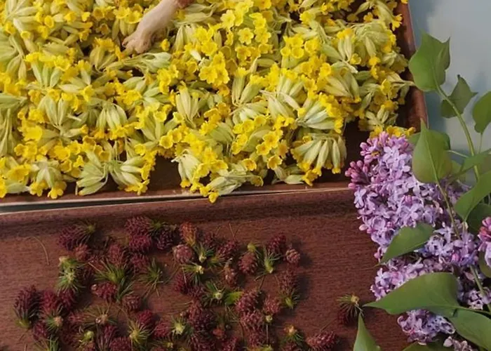 אכסניה Les Terres Blanches De Méolans