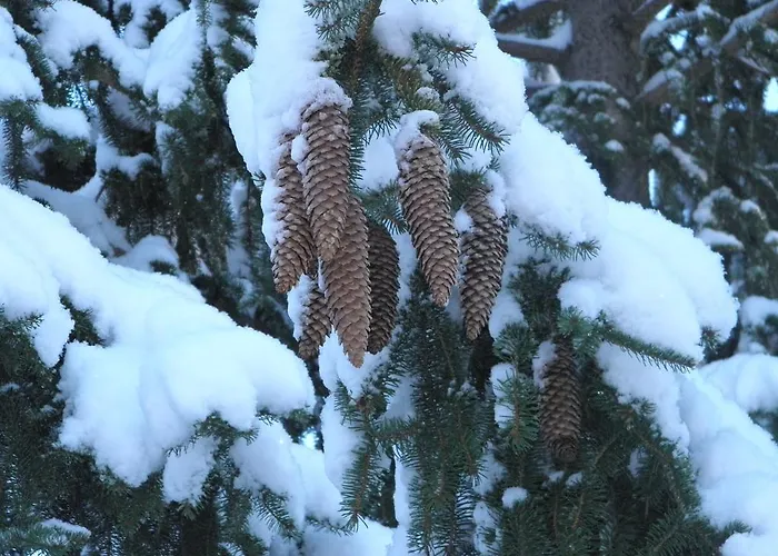 אכסניה Les Terres Blanches De Méolans